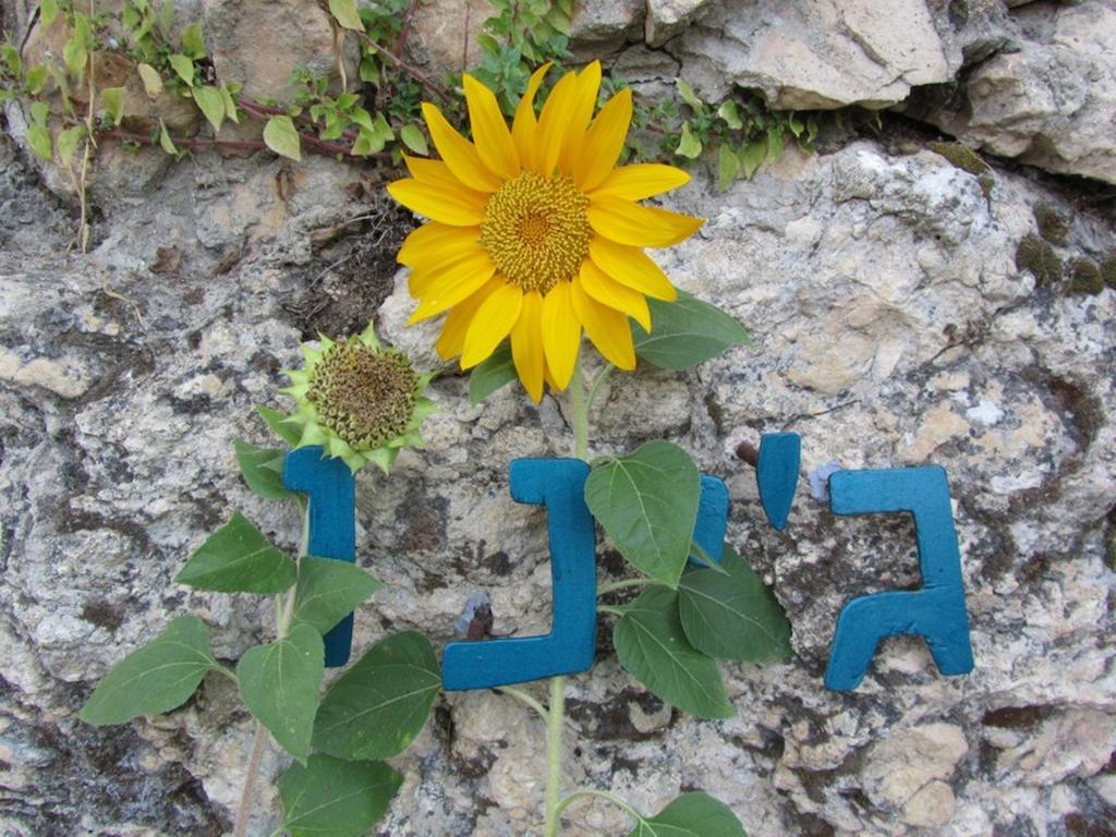 בית האומן - מצפה על מפרץ חיפה מראה חיצוני תמונה